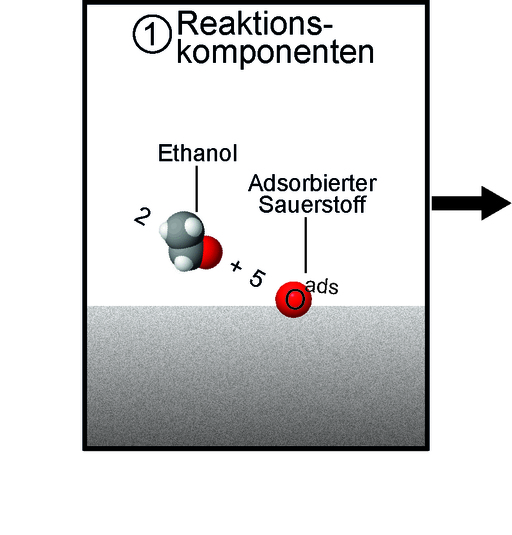 Reaktionskomponenten