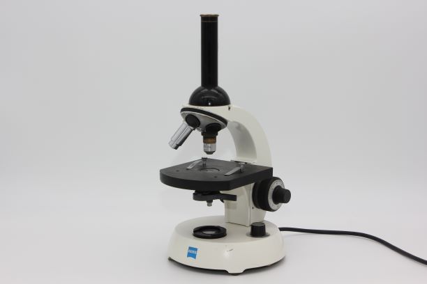 Mikroskop des OIN-Versuchs